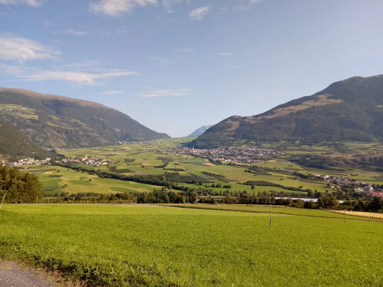 Wunderschöne Wiese mit 30 alten Marillenbäumen mit spektakulärer Aussicht, Glurns